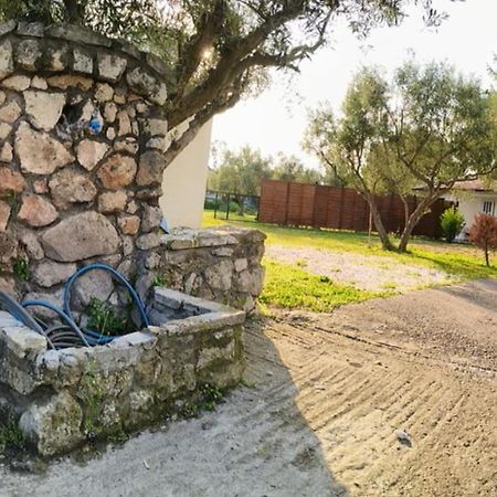 Villa Πετρινη Κατοικια Στην Φυση à Tagarades Extérieur photo