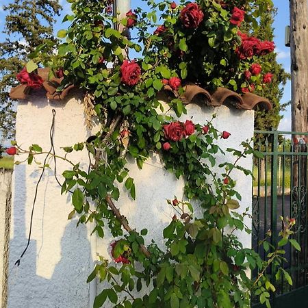 Villa Πετρινη Κατοικια Στην Φυση à Tagarades Extérieur photo