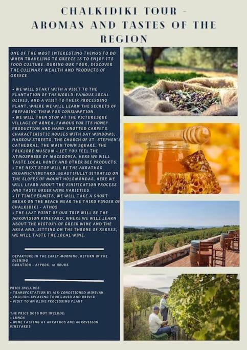 Villa Πετρινη Κατοικια Στην Φυση à Tagarades Extérieur photo